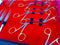 Tympanoplasty Instruments set